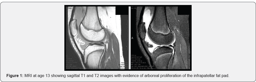 Click here to view Large Figure 1