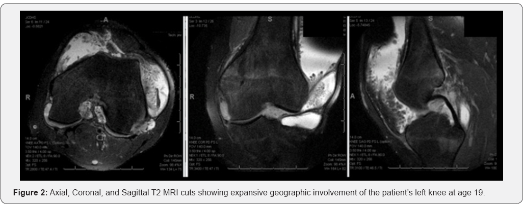 Click here to view Large Figure 2