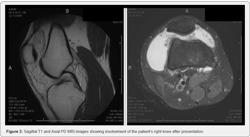 Click here to view Large Figure 3