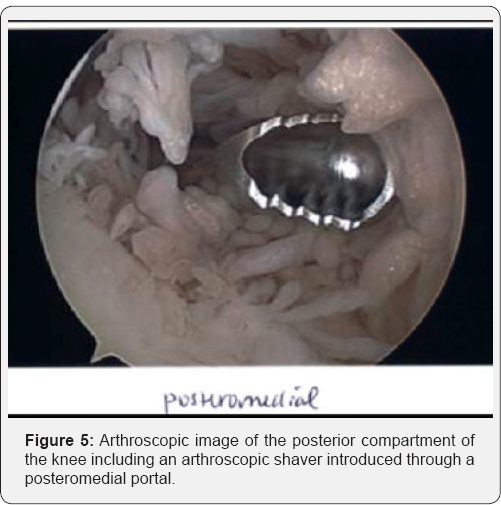 Click here to view Large Figure 5