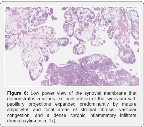 Click here to view Large Figure 6