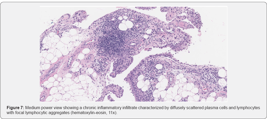 Click here to view Large Figure 7
