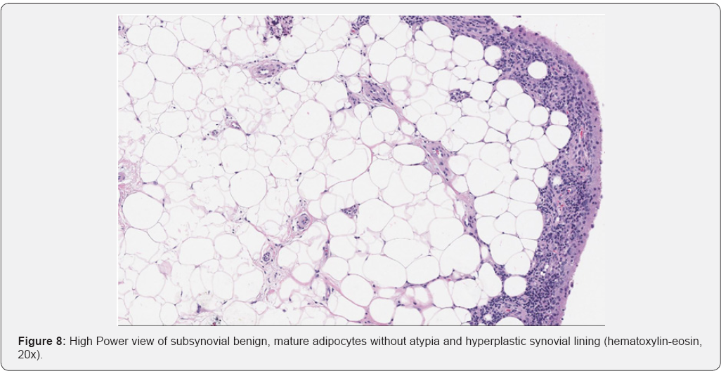 Click here to view Large Figure 8