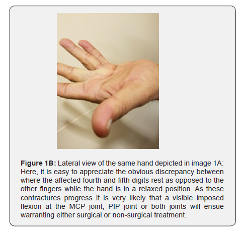 Click here to view Large Figure 2