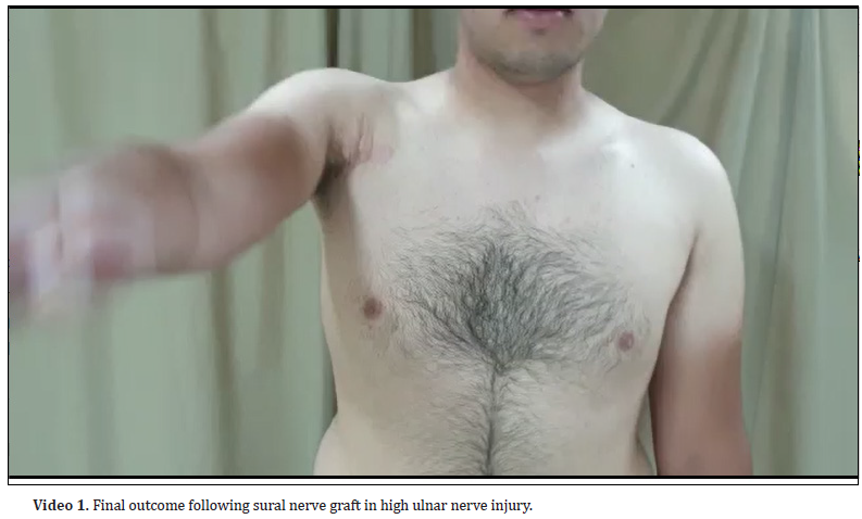 Click here to view Large Figure