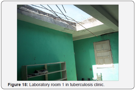 Click here to view Large Figure 18