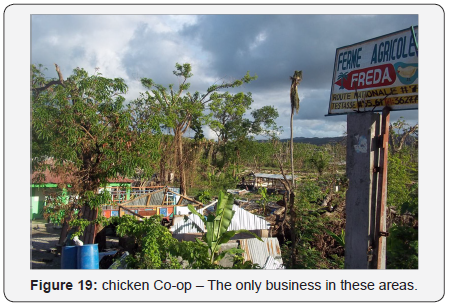 Click here to view Large Figure 19