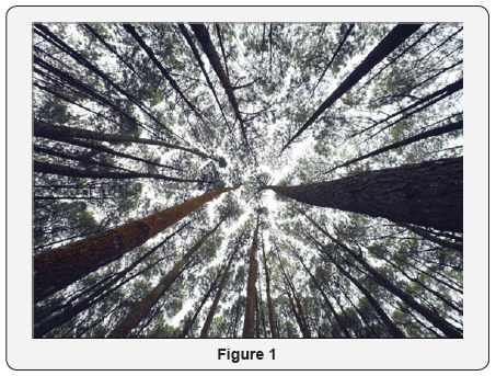 Click here to view Large Figure 1