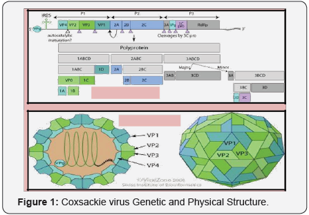 Click here to view Large Figure 1