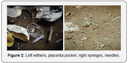 Click here to view Large Figure 2