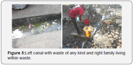 Click here to view Large Figure 5