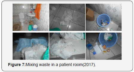 Click here to view Large Figure 7