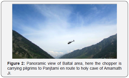 Click here to view Large Figure 2