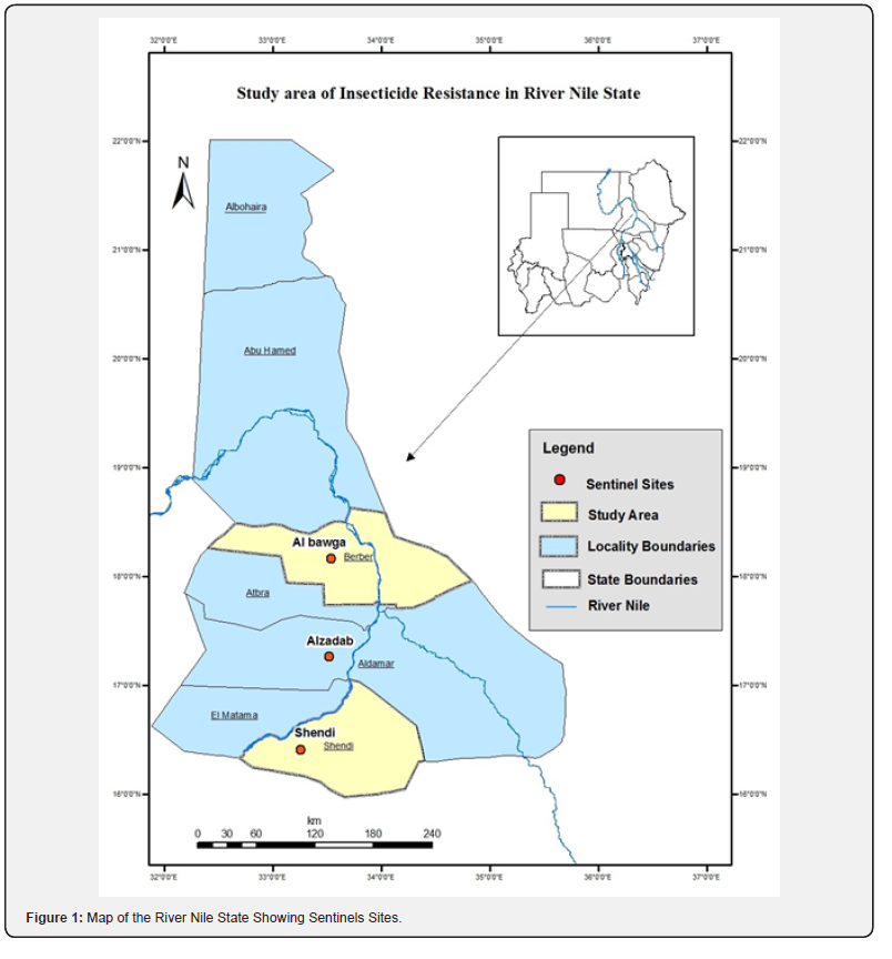 Click here to view Large Figure 1