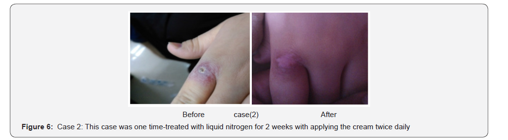 Click here to view Large Figure 6