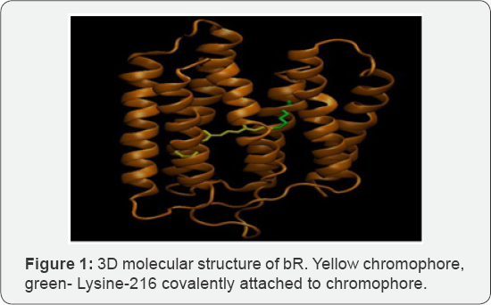 Click here to view Large Figure 1