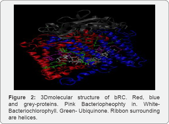 Click here to view Large Figure 1