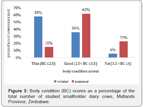 Click here to view Large Figure 3