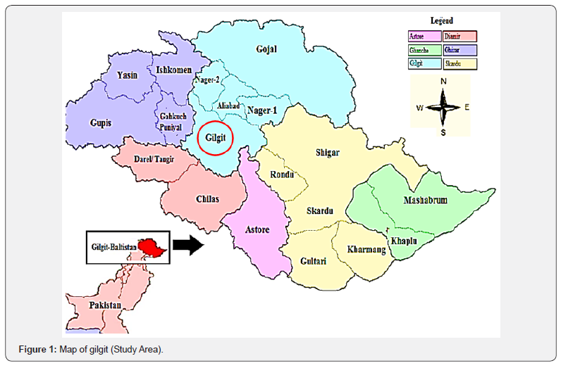 Click here to view Large Figure 1