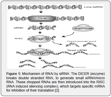 Click here to view Large Figure 1