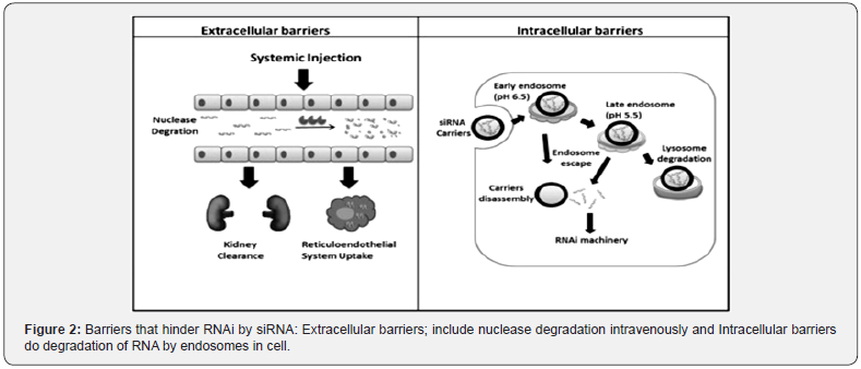 Click here to view Large Table 2