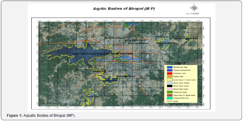 Click here to view Large Figure 1