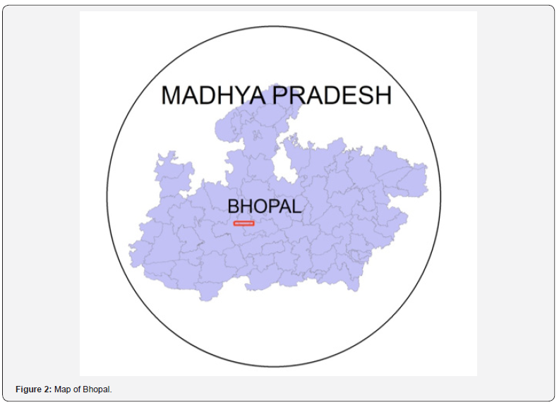 Click here to view Large Figure 2