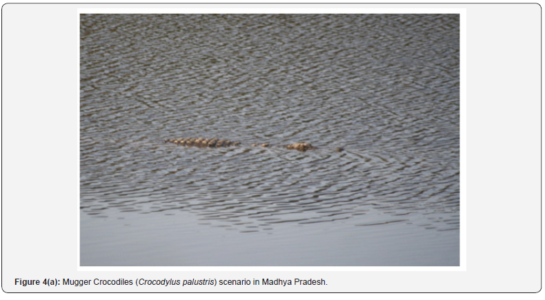 Click here to view Large Figure 4a