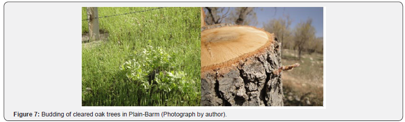 Click here to view Large Figure 7