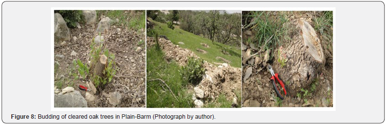 Click here to view Large Figure 8