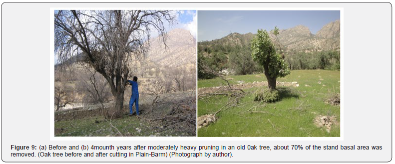 Click here to view Large Figure 9