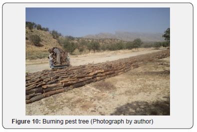 Click here to view Large Figure 10