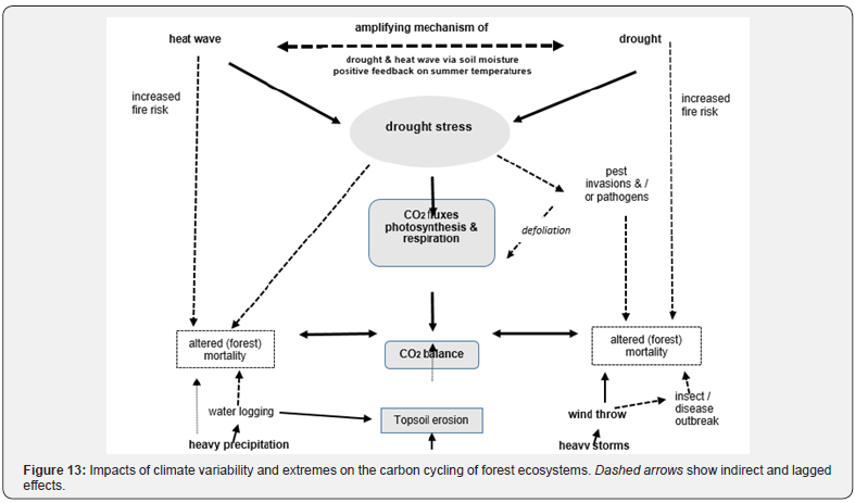 Click here to view Large Figure 13