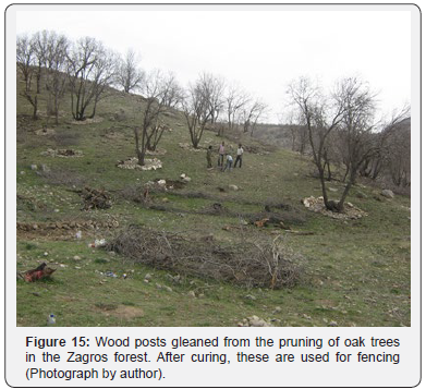 Click here to view Large Figure 15