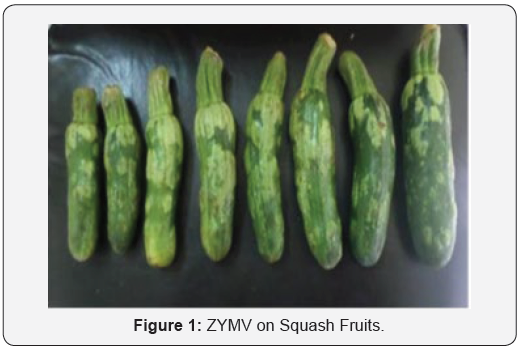 Click here to view Large Figure 1