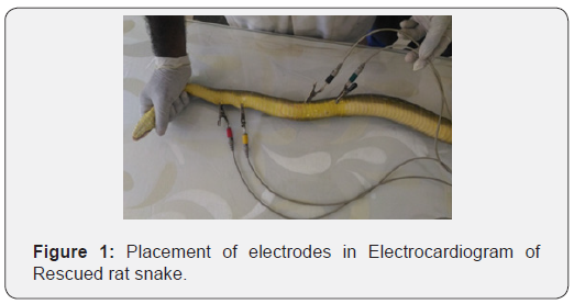 Click here to view Large Figure 1