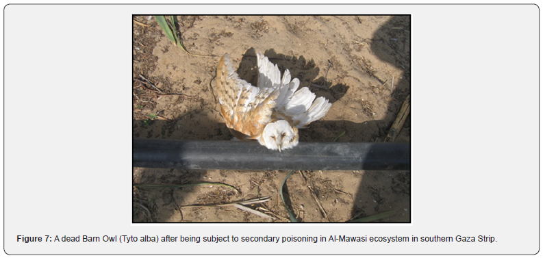 Click here to view Large Figure 7