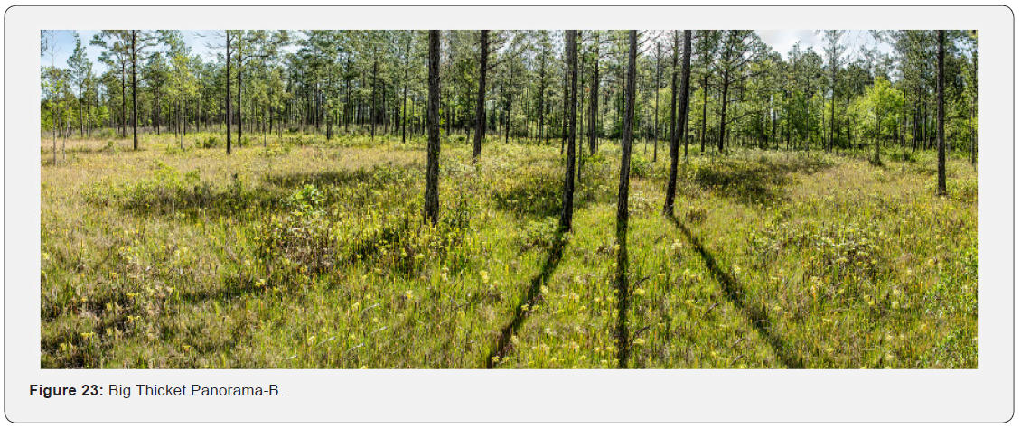 Click here to view Large Figure