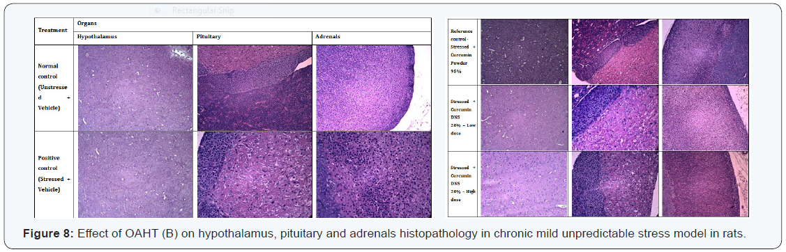 Click here to view Large Figure 8