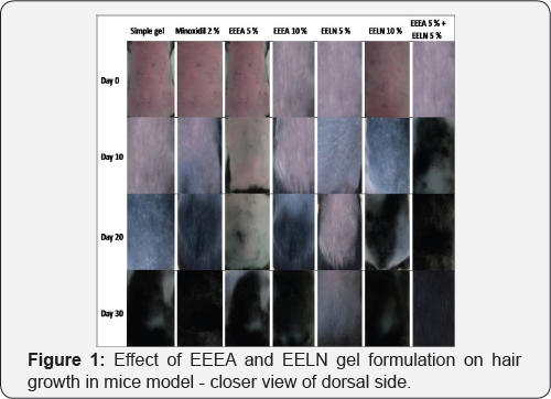 Click here to view Large Figure 1