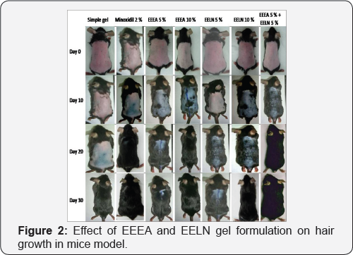 Click here to view Large Figure 2