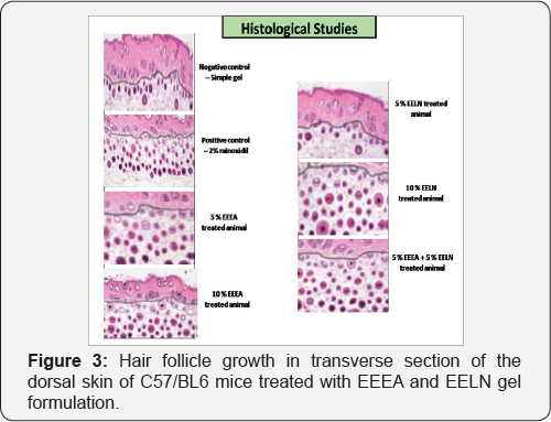 Click here to view Large Figure 3