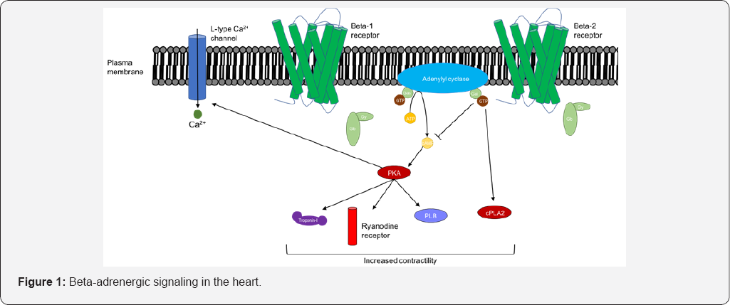 Click here to view Large Figure 1