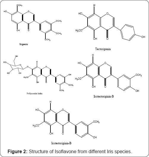 Click here to view Large Figure 2
