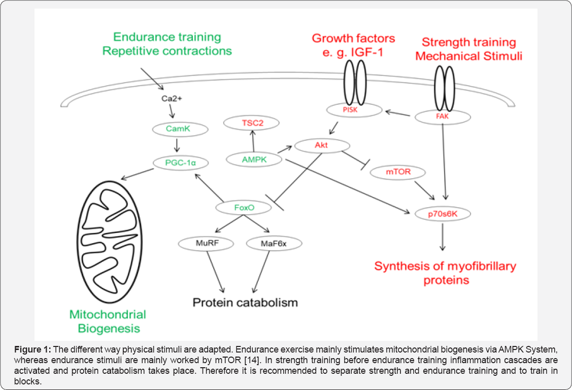 Click here to view Large Figure 1