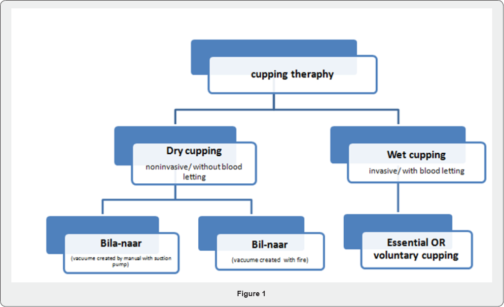 Click here to view Large Figure 1