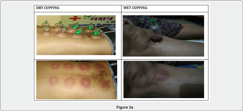 Click here to view Large Figure 2a