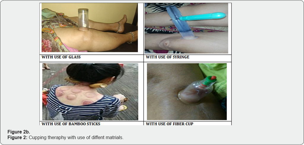 Click here to view Large Figure 2b