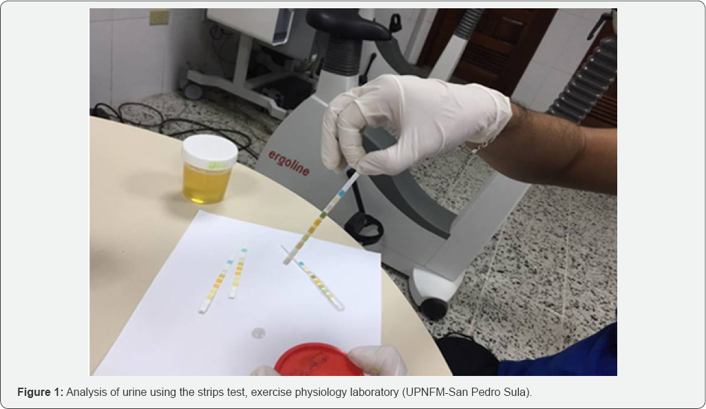 Click here to view Large Figure 1