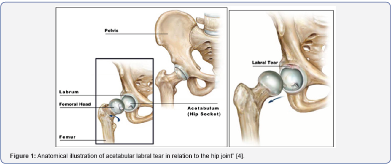 Click here to view Large Figure 1